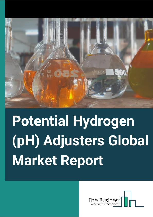 Potential Hydrogen (pH) Adjusters Market Report 2023