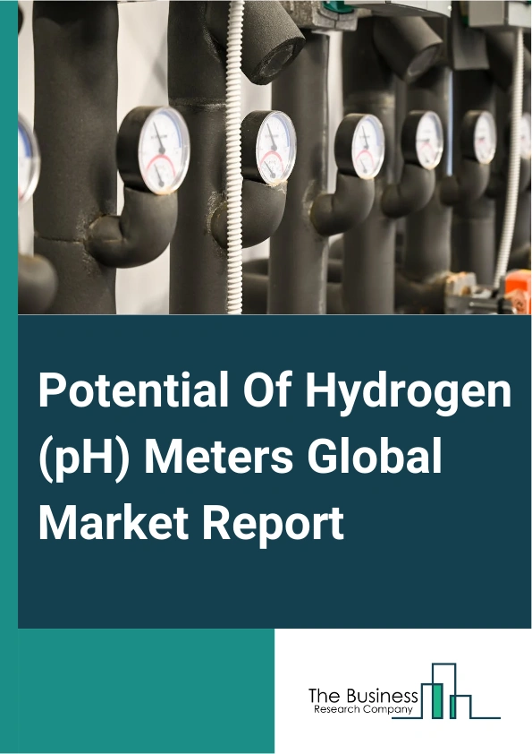 Global Potential Of Hydrogen (pH) Meters Market Report 2025