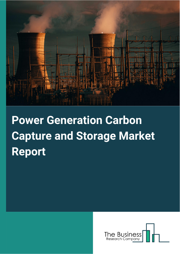 Power Generation Carbon Capture and Storage Market Report Infographic Image