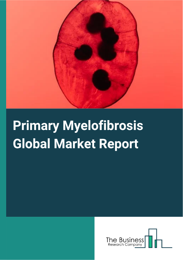 Global Primary Myelofibrosis Market Report 2025
