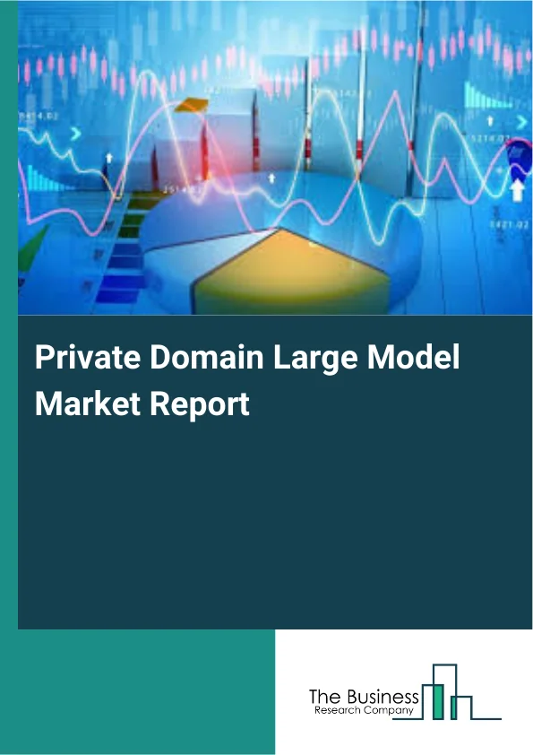 Private Domain Large Model Market Report Infographic Image