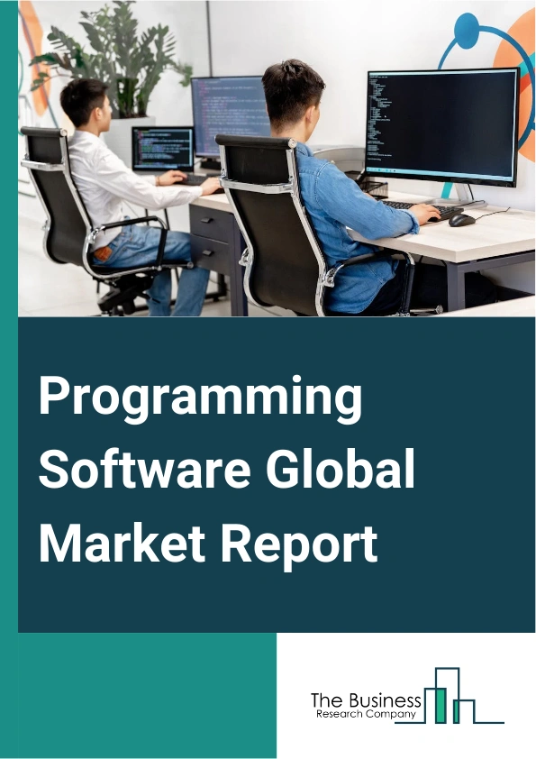 Global Programming Software Market Report 2025