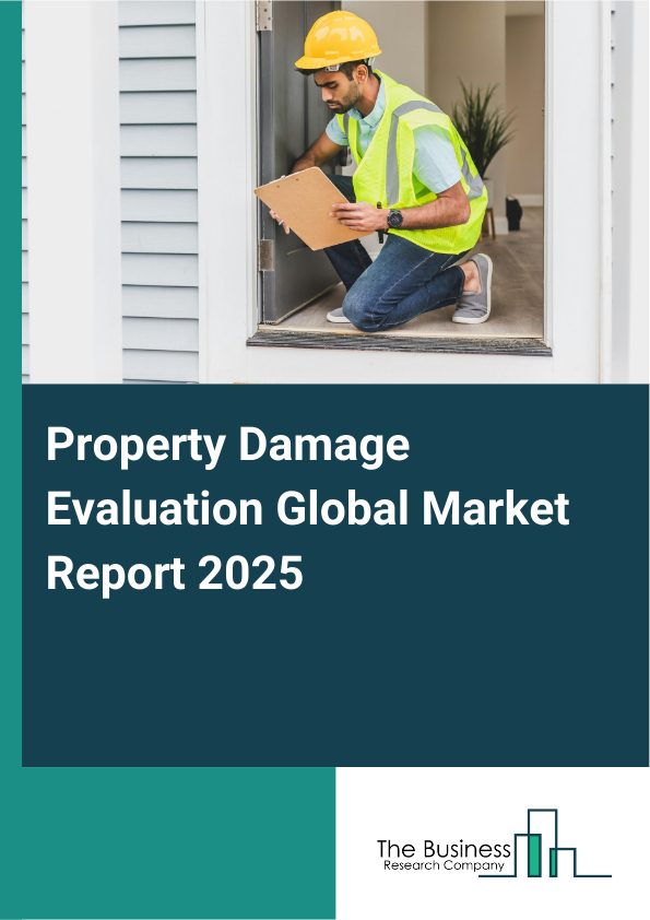 Global Property Damage Evaluation Market Report 2025