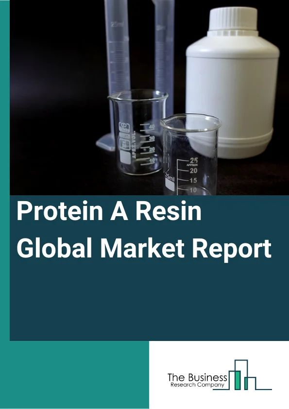 Protein A Resin