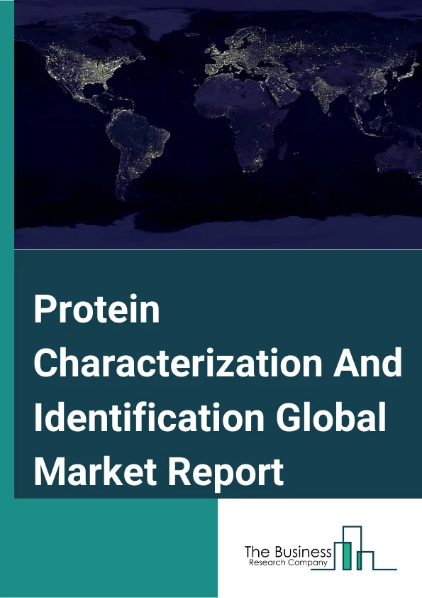 Protein Characterization And Identification Global Market Report 2025 – By Product Type (Consumables, Instruments, Services), By Application (Drug Discovery And Development, Clinical Diagnosis), By End User (Pharmaceutical And Biotechnology Companies, Academic Research Institutions, Contract Research Organizations, Other End Users) – Market Size, Trends, And Global Forecast 2025-2034