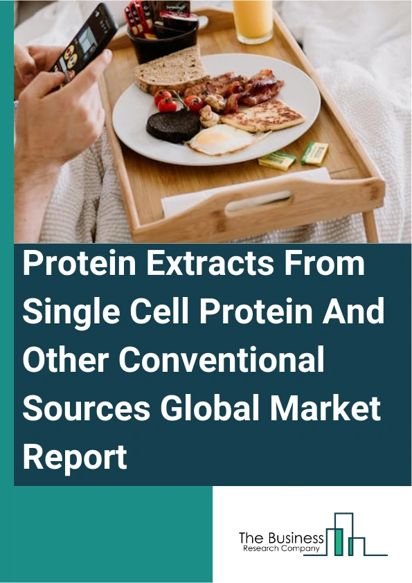 Protein Extracts From Single Cell Protein And Other Conventional Sources Global Market Report 2025 – By Source (Plant Protein Extract Sources, Microbial Sources - Single Cell Proteins, Microbial Sources - Direct Use), By Feedstock (Organic, Conventional), By Application (Biotechnology, Animal Feed, Agriculture And Fertilizers, Other Applications) – Market Size, Trends, And Global Forecast 2025-2034