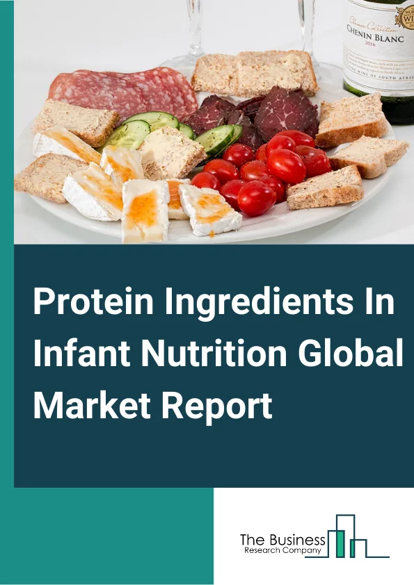 Global Protein Ingredients In Infant Nutrition Market Report 2024