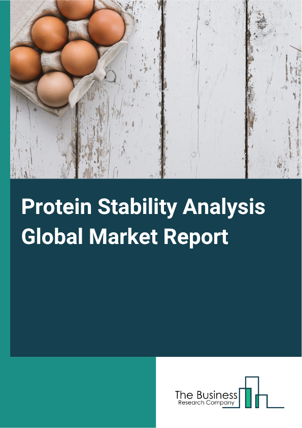Global Protein Stability Analysis Market Report 2025 