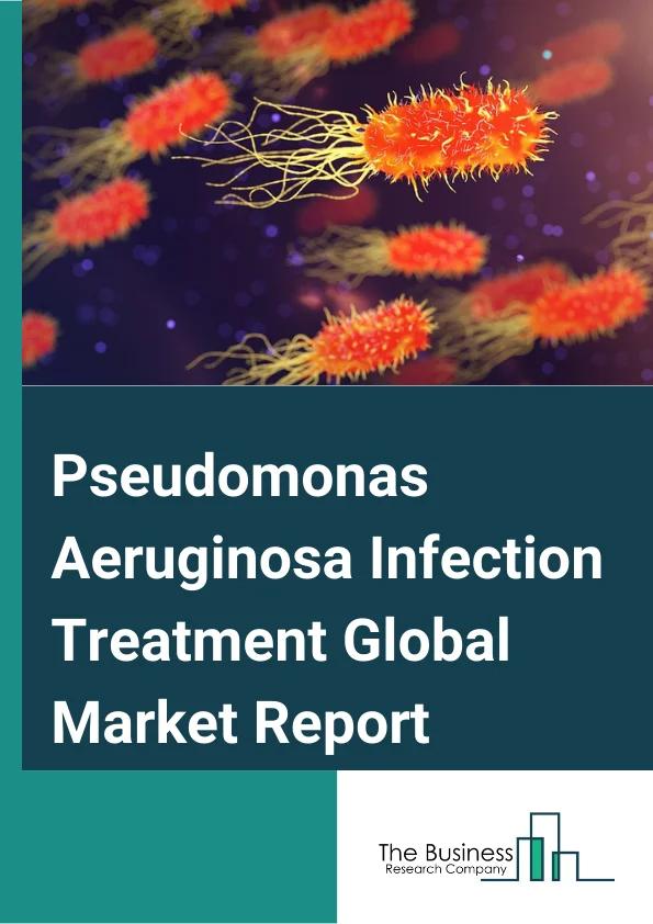 Global Pseudomonas Aeruginosa Infection Treatment Market Report 2024