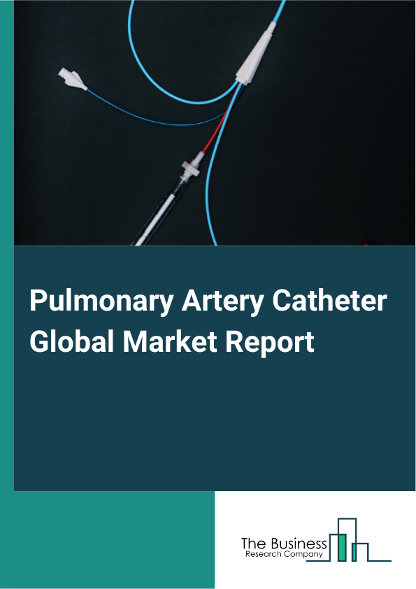 Global Pulmonary Artery Catheter Market Report 2025