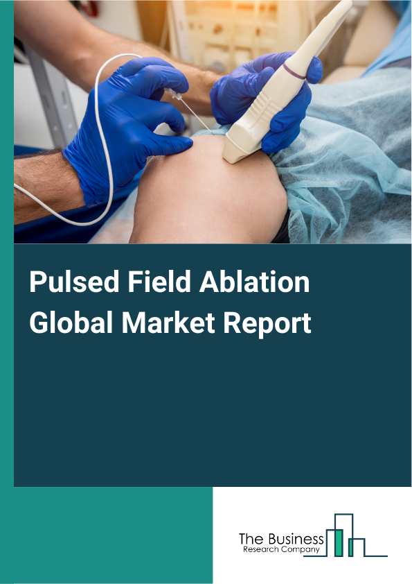 Global Pulsed Field Ablation Market Report 2025 