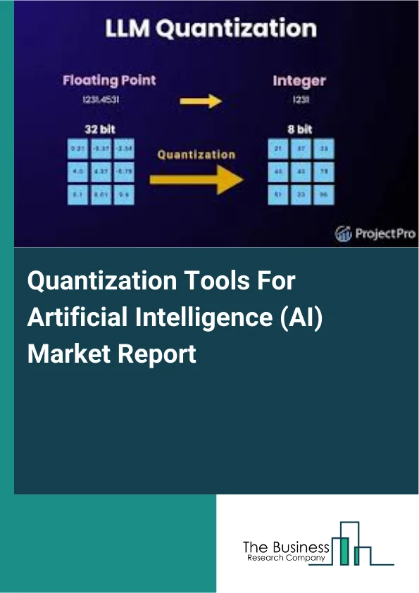Quantization Tools For Artificial Intelligence (AI) Market Report Infographic Image
