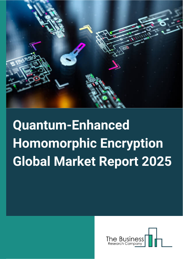 Global Quantum-Enhanced Homomorphic Encryption Market Report 2025