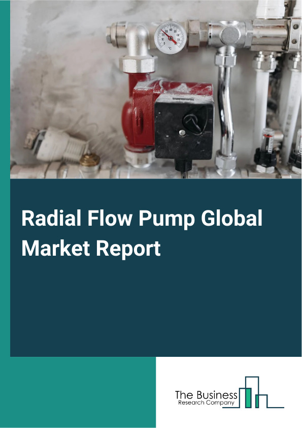 Global Radial Flow Pump Market Report 2025