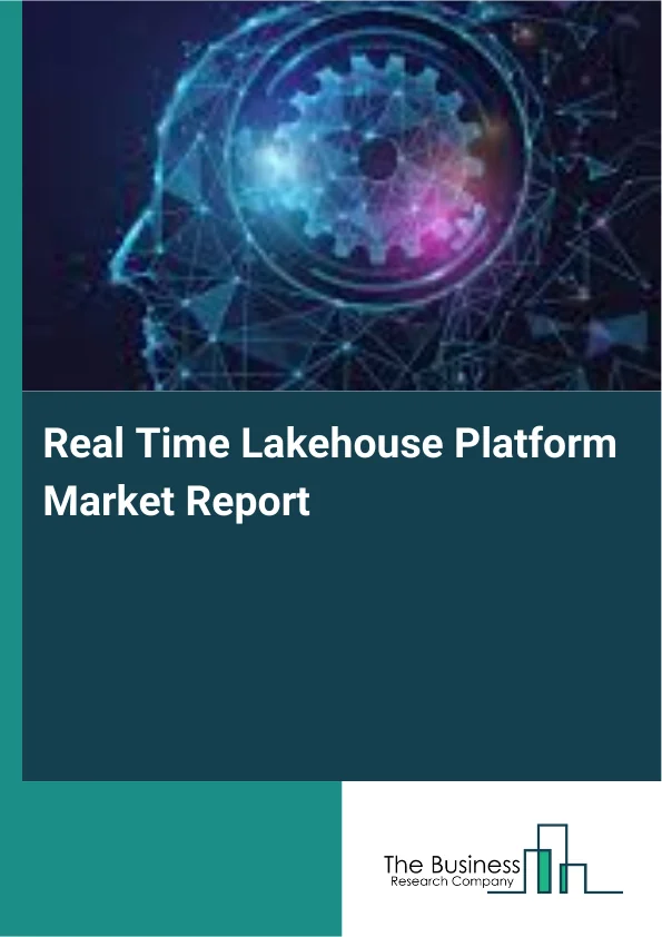 Real Time Lakehouse Platform Market Report Infographic Image