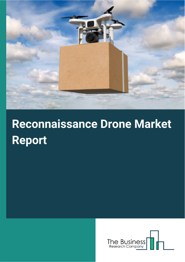 Reconnaissance Drone Market Report Infographic Image