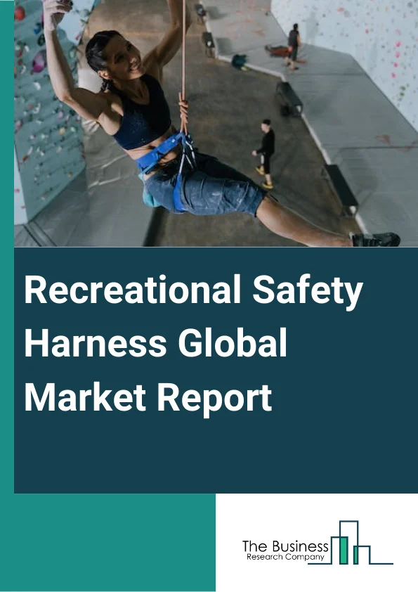 Recreational Safety Harness Market Report 2023