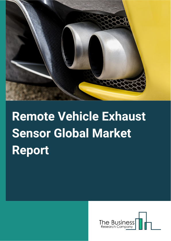 Remote Vehicle Exhaust Sensor Market Size and growth rate 2025 to 2029: Graph