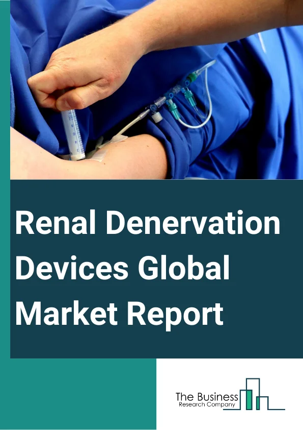 Renal Denervation Devices