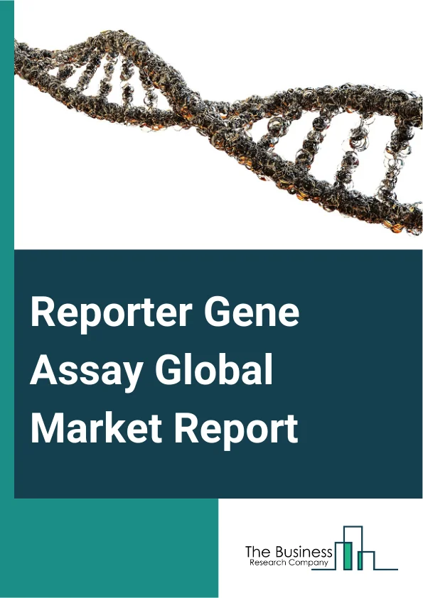 Reporter Gene Assay Global Market Report 2025 – By Product (Assay Kits, Reagents), By Application (Promoter Structural And Functional Analysis, Cell Signaling Pathways, Protein Interaction, Clinical And Gene Regulation),...