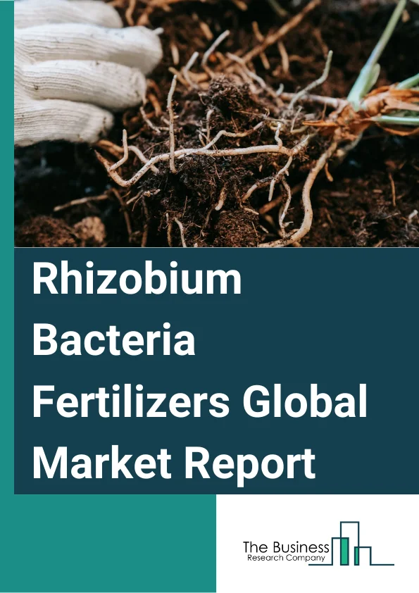 Global Rhizobium Bacteria Fertilizers Market Report 2024