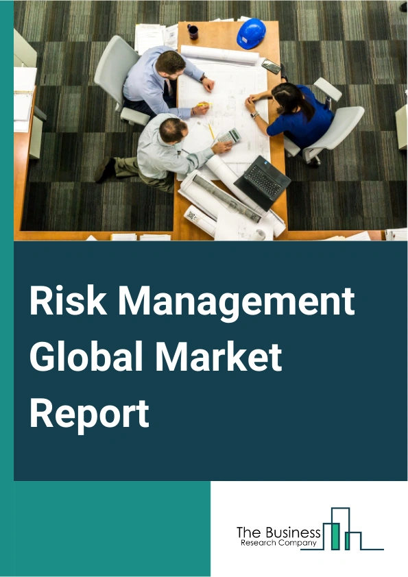Global Risk Management Market Report 2025