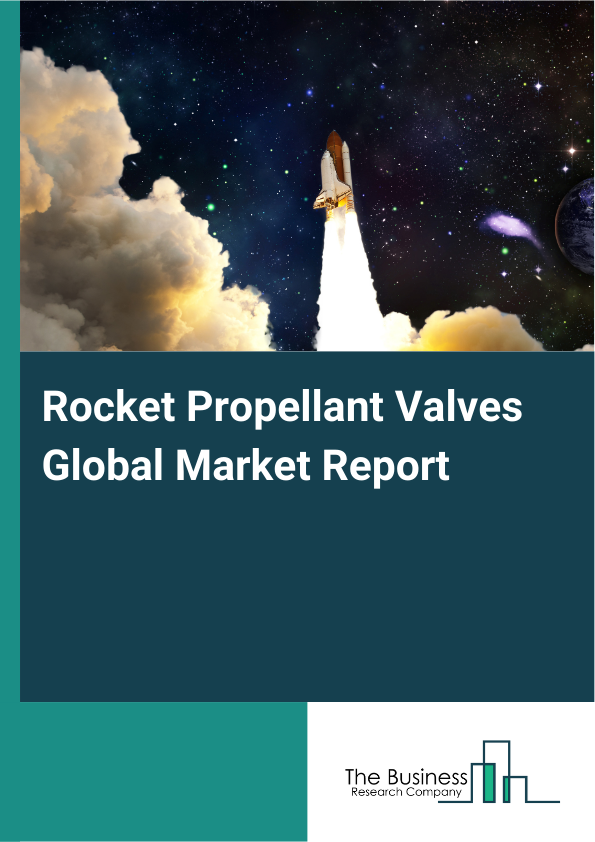 Global Rocket Propellant Valves Market Report 2025
