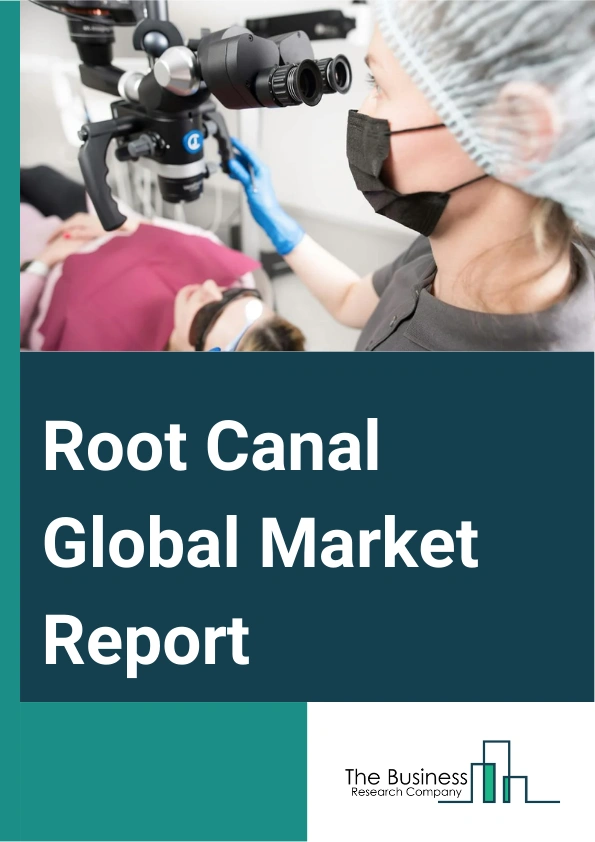 Root Canal Global Market Report 2025 – By Type (Nonsurgical Root Canal, Secondary Root Canal, Apicoectomy, Pulpotomy, Pulpectomy), By Drug (Anesthetics, Painkillers, Antibiotics), By Instrument (Scalers, Apex Locators, M...
