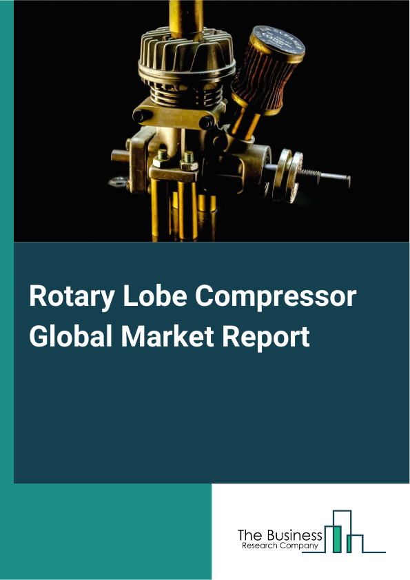 Global Rotary Lobe Compressor Market Report 2025