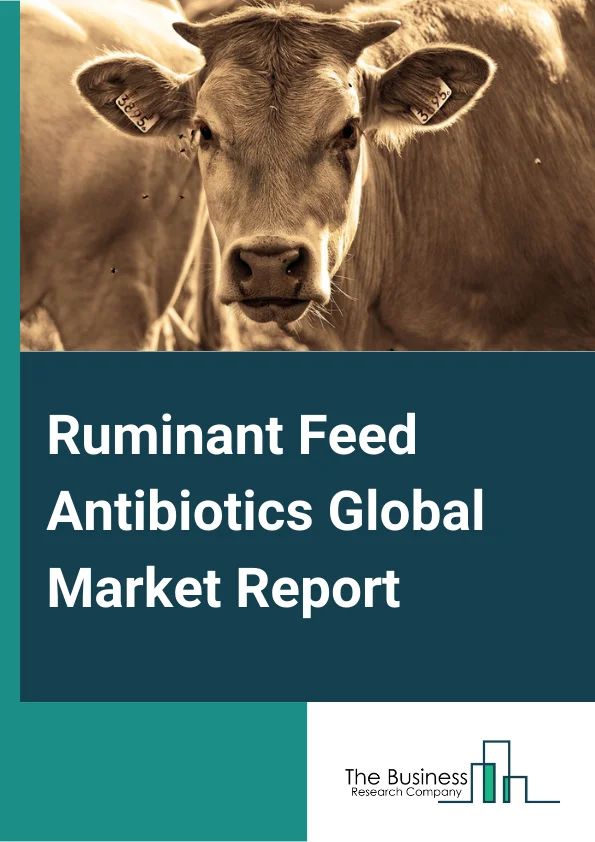 Ruminant Feed Antibiotics Global Market Report 2025 – By Type (Tetracycline, Penicillin, Sulphonamides, Macrolides, Aminoglycosides, Cephalosporin, Other Types ), By Animal Type (Dairy Cattle, Beef Cattle, Other Animal Types ), By End-User (Dairy Farm, Veterinary Hospitals, Other End-Users) – Market Size, Trends, And Global Forecast 2025-2034
