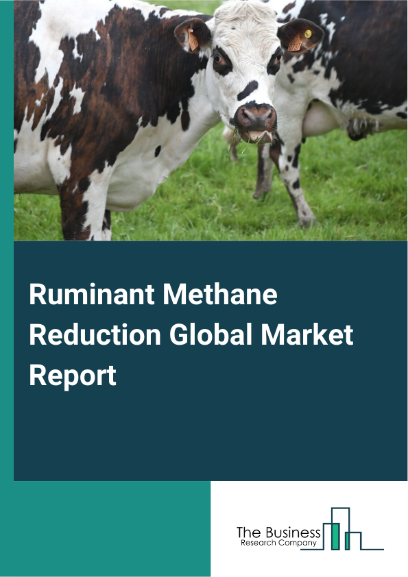 Global Ruminant Methane Reduction Market Report 2025