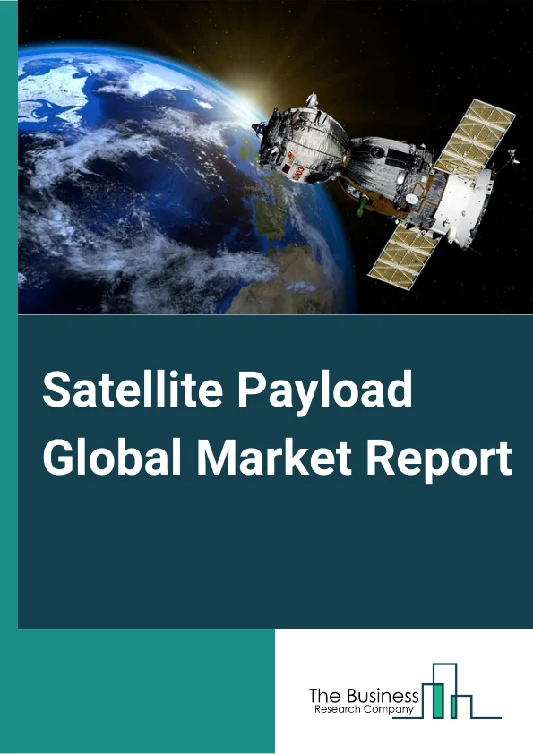 Satellite Payload Market Report 2023 
