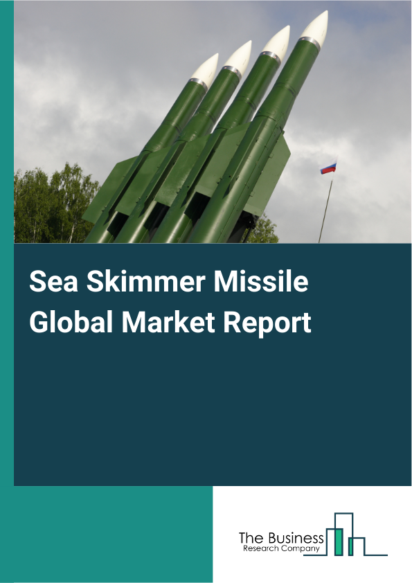 Global Sea Skimmer Missile Market Report 2025