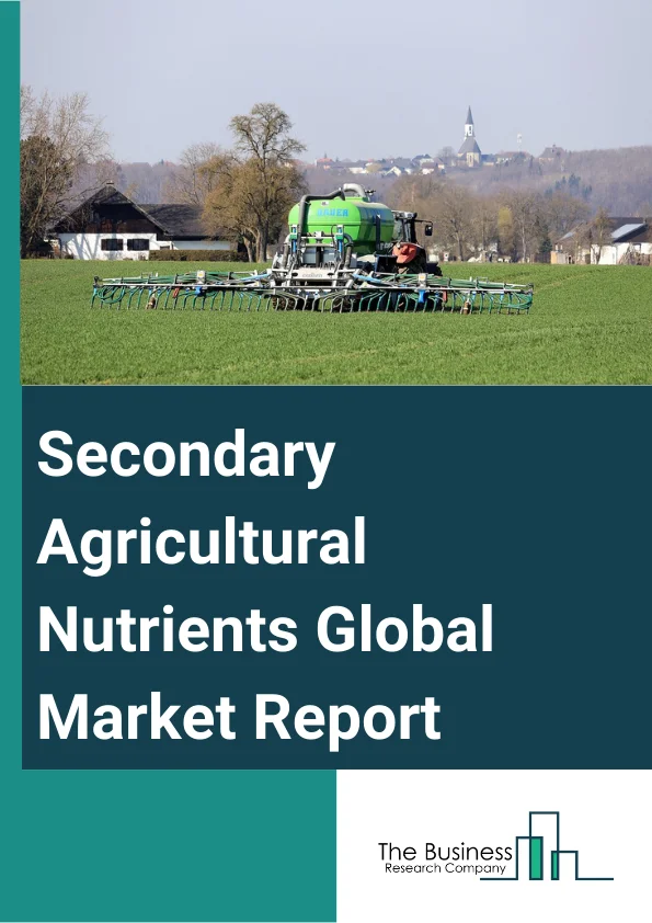 Global Secondary Agricultural Nutrients Market Report 2024