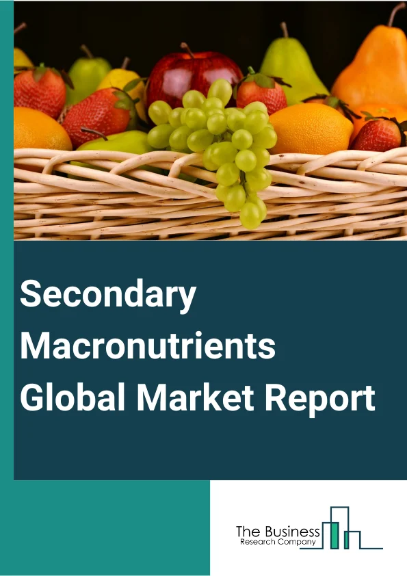 Secondary Macronutrients Global Market Report 2023