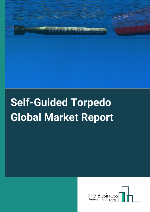 Global Self-Guided Torpedo Market Report 2025