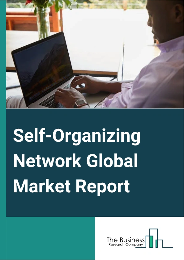 Global Self-Organizing Network Market Report 2025