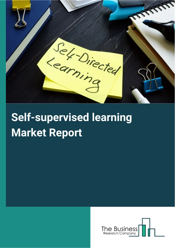 Self-supervised learning Market Report Infographic Image