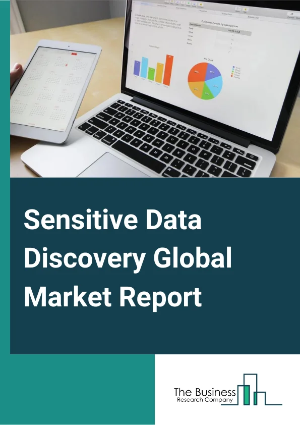 Sensitive Data Discovery Market Report 2023 