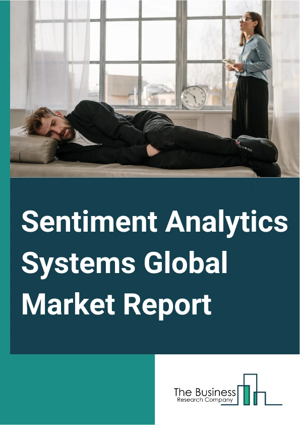 Global Sentiment Analytics Systems Market Report 2025