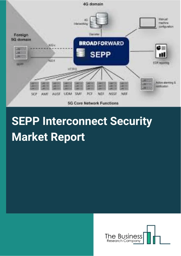 SEPP Interconnect Security Market Report Infographic Image