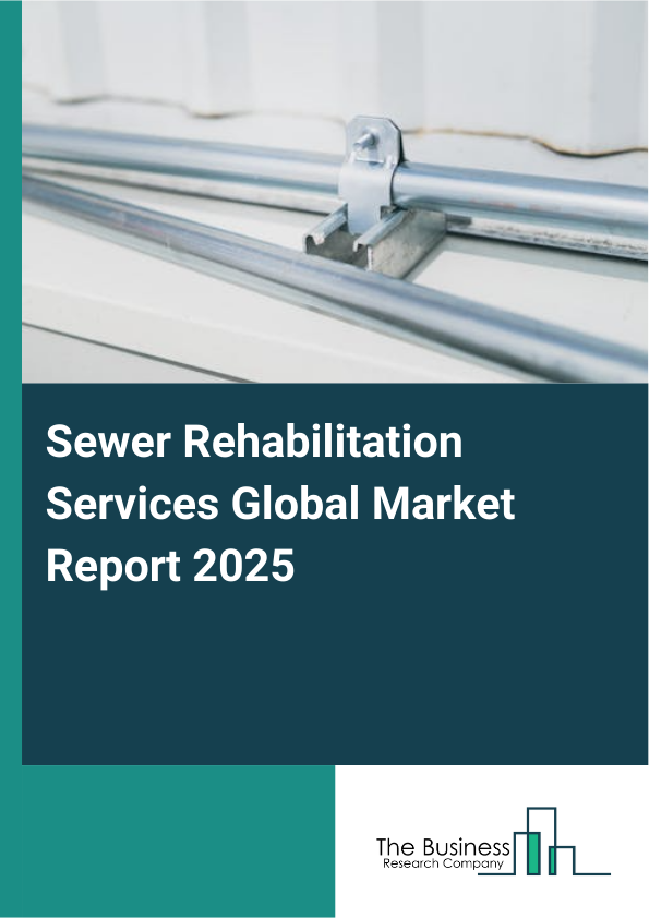 Global Sewer Rehabilitation Services Market Report 2025