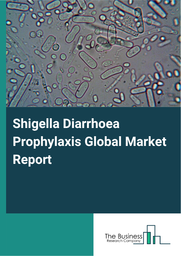 Global Shigella Diarrhoea Prophylaxis Market Report 2025