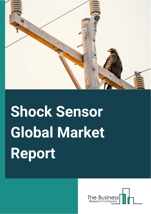 Shock Sensor