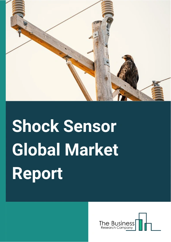 Global Shock Sensor Market Report 2025