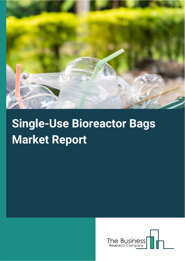 Single-Use Bioreactor Bags Market Report Infographic Image