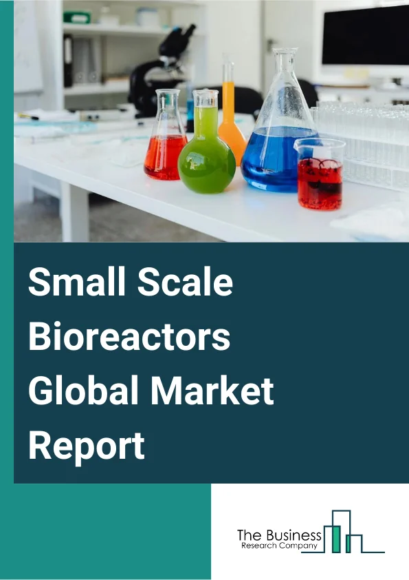 Global Small Scale Bioreactors Market Report 2024