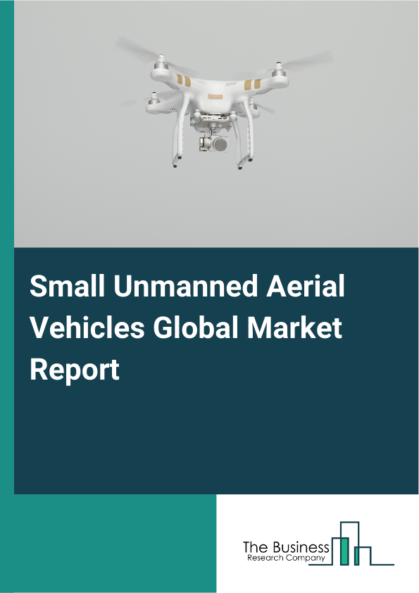 Global Small Unmanned Aerial Vehicles Market Report 2025