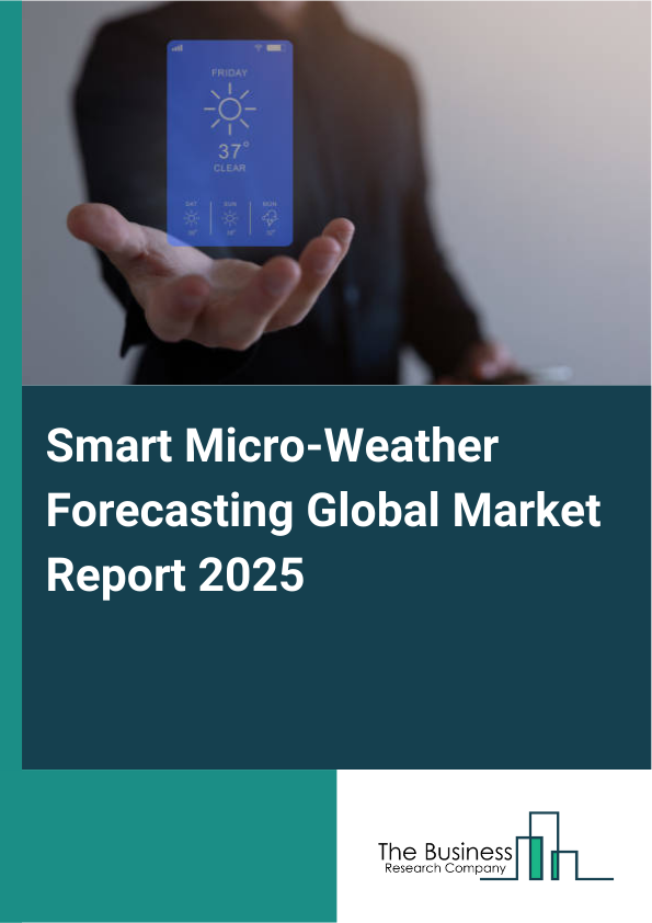 Global Smart Micro-Weather Forecasting Market Report 2025