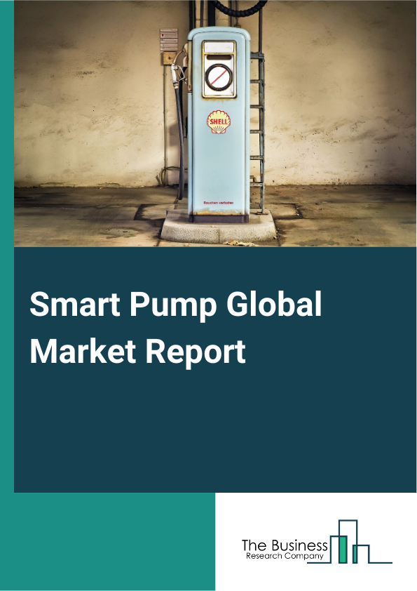 Global Smart Pump Market Report 2025